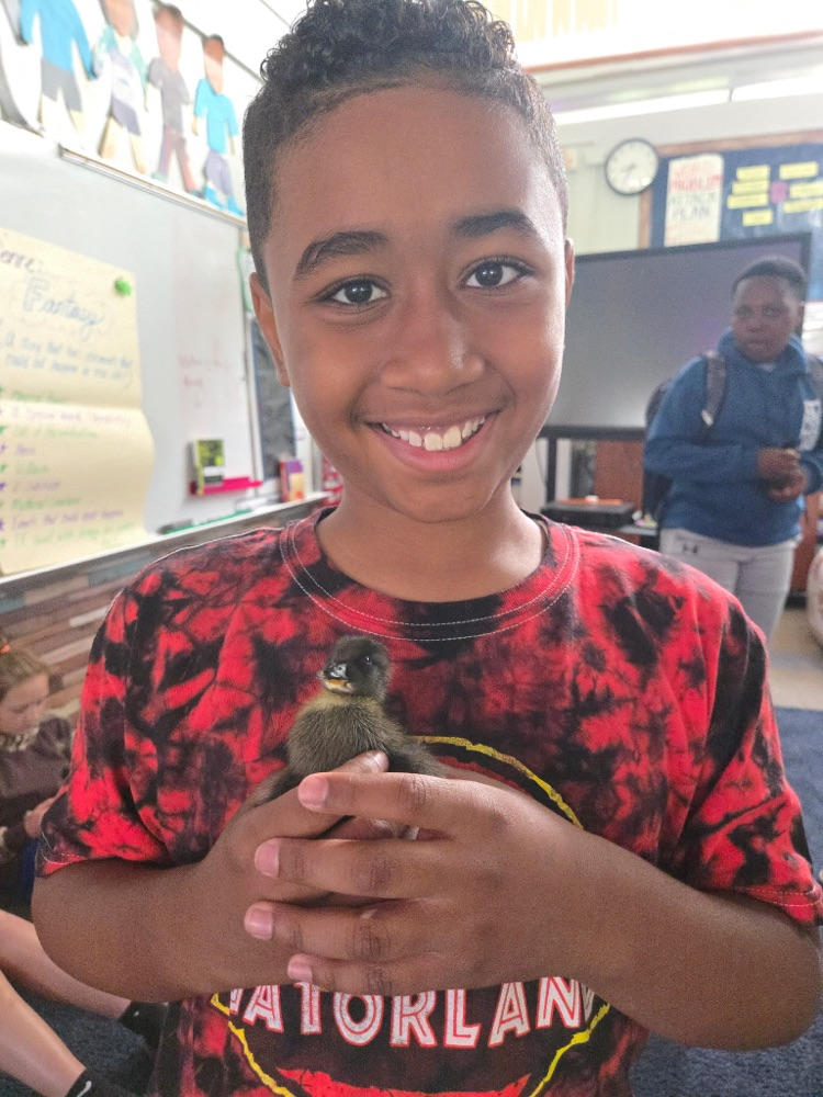 chick
