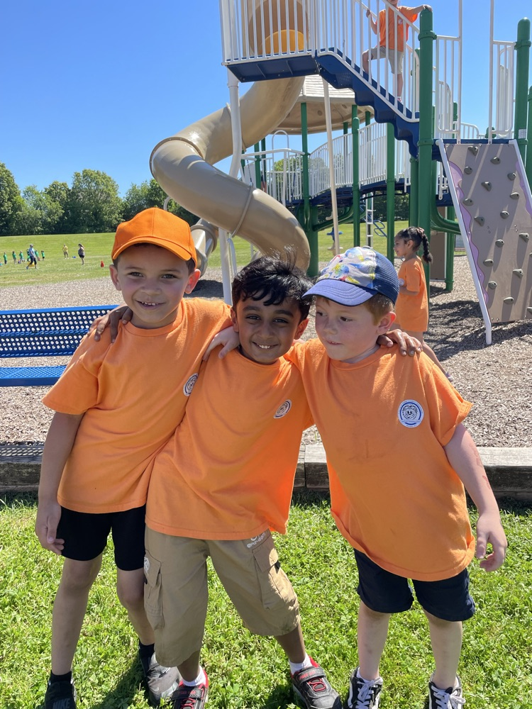 field day 