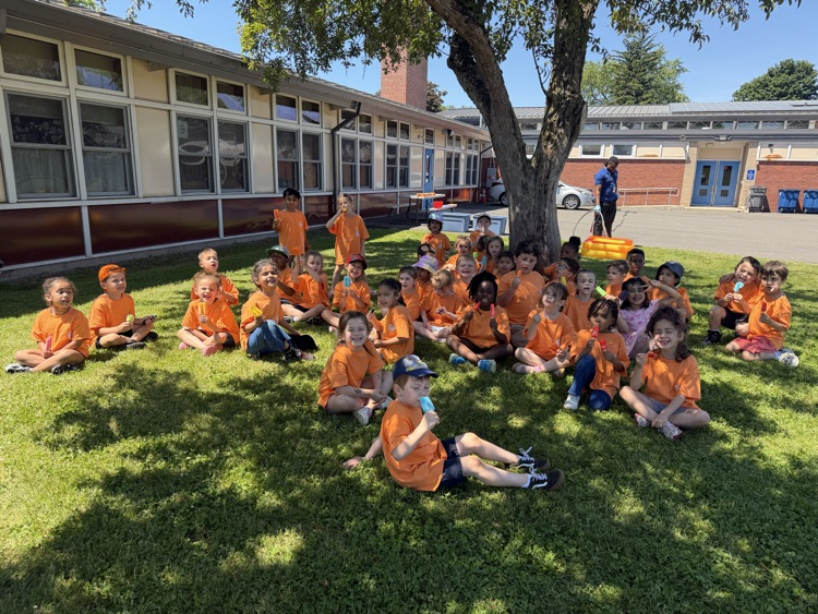 field day 