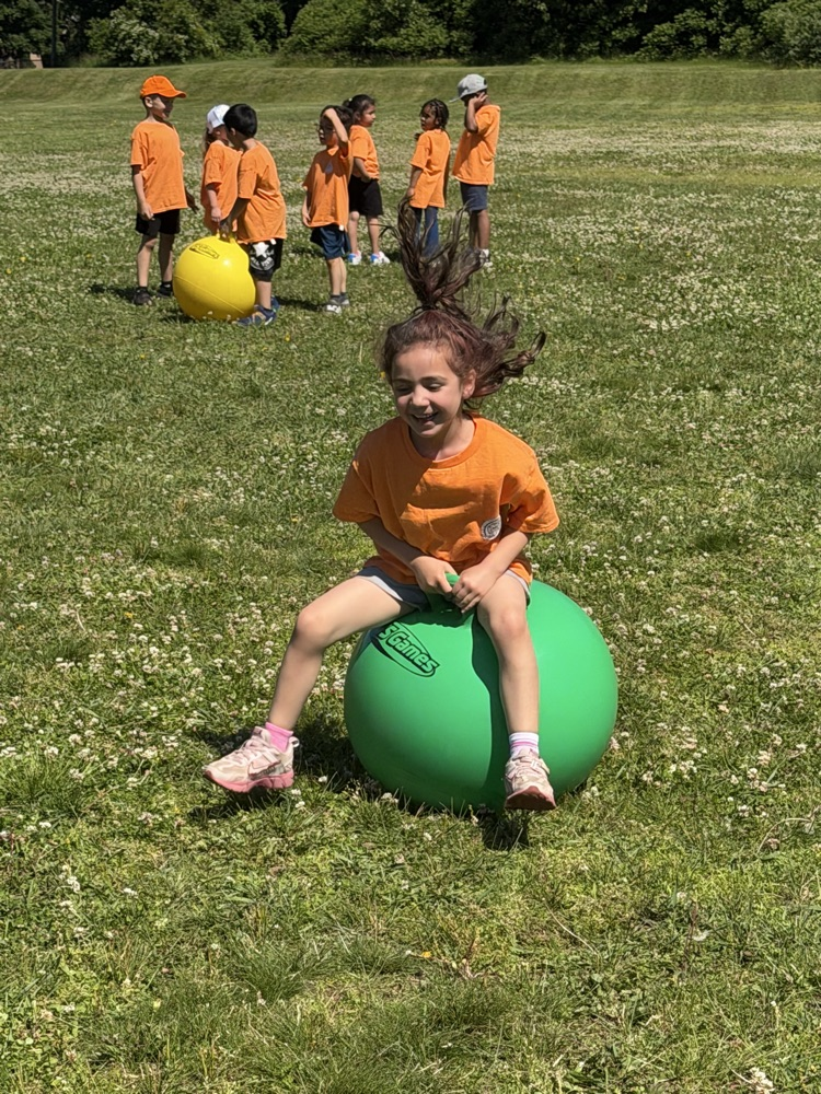 field day 