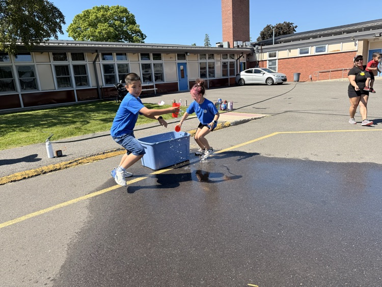 field day 