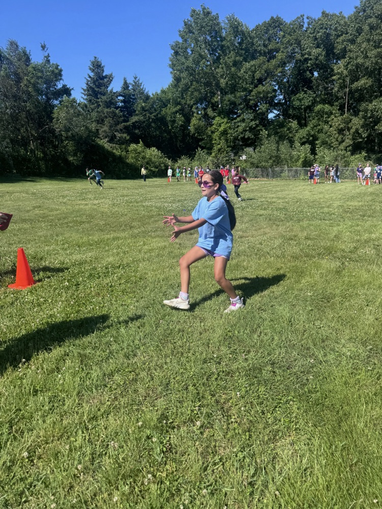field day