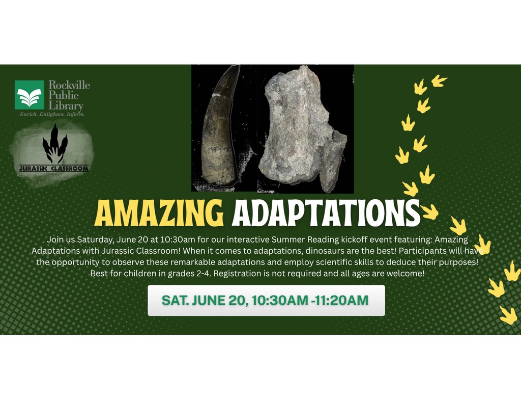 Amazing Adaptation