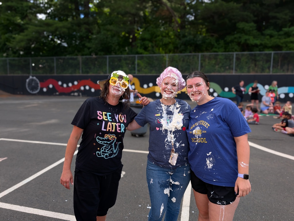 pie in the face after