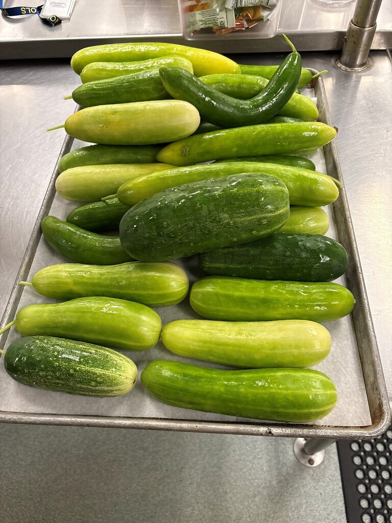 Cucumbers