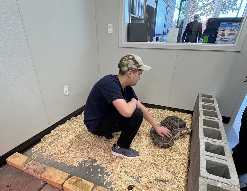 student with tortoises