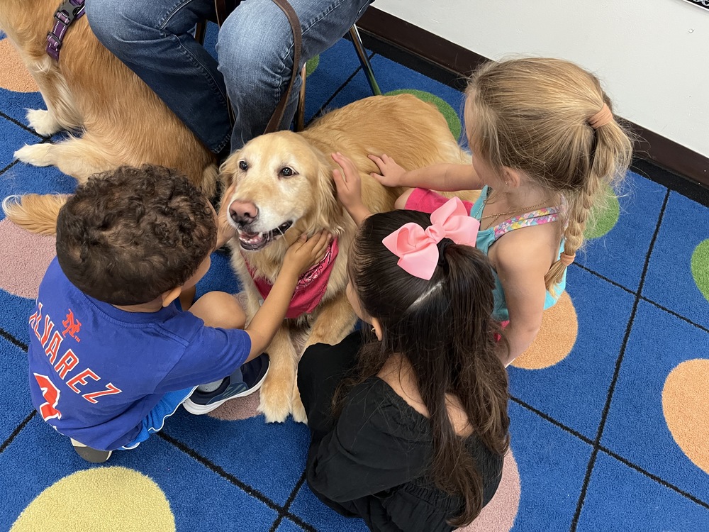 Therapy Dog Visit