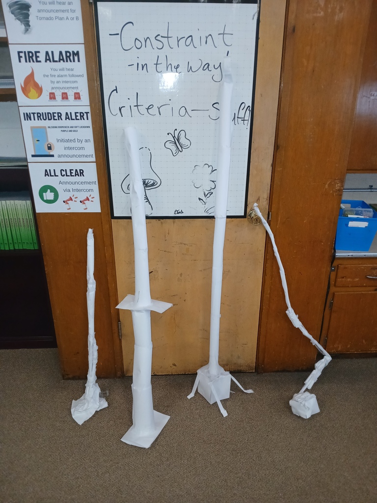 Paper Towers!!!