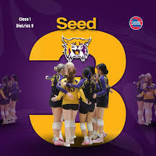 3 seed