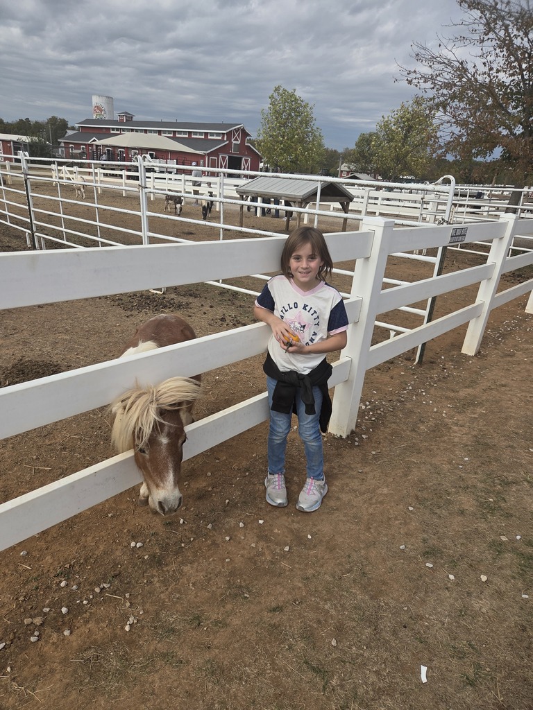 A young child stands behind a fence petting a small horse. A cloudy sky is visible above.