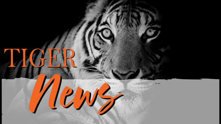 Tiger News
