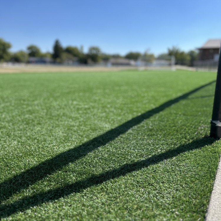 turf
