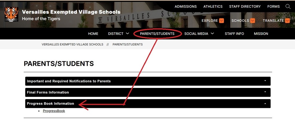Assessment scores