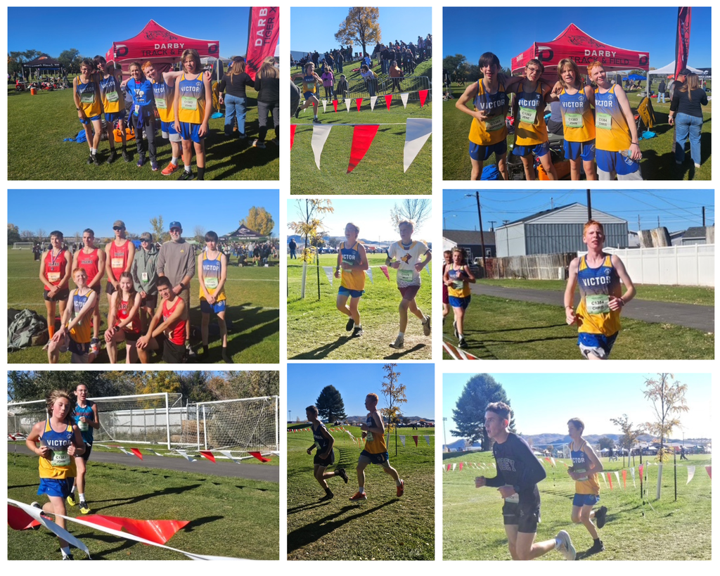 Boys at State cross country