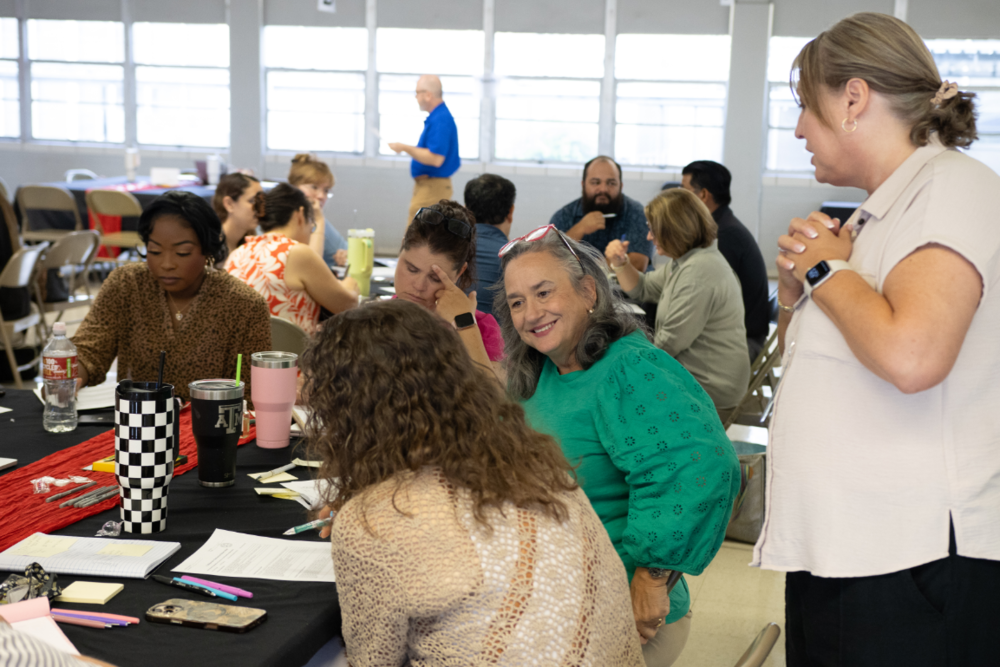 professional development