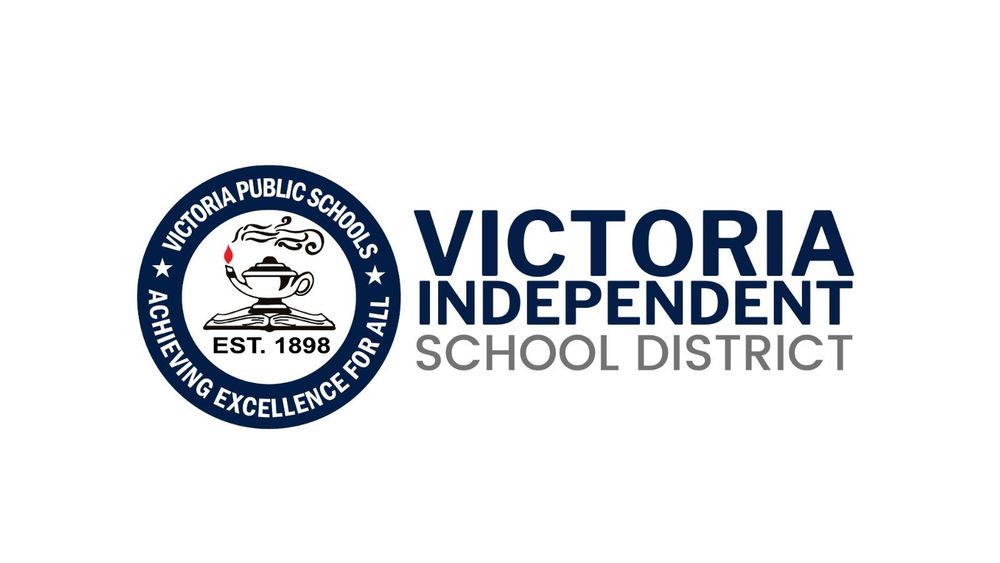 VISD logo