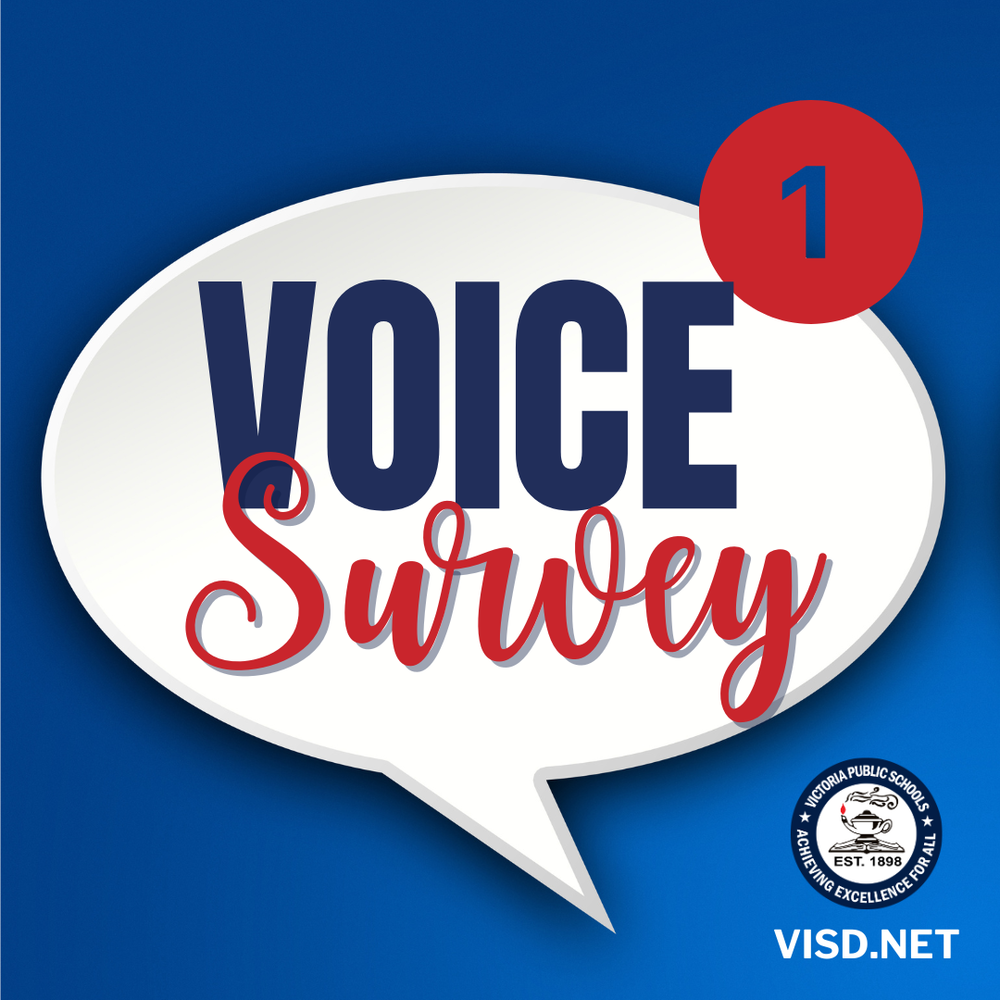 Voice Survey, visd.net