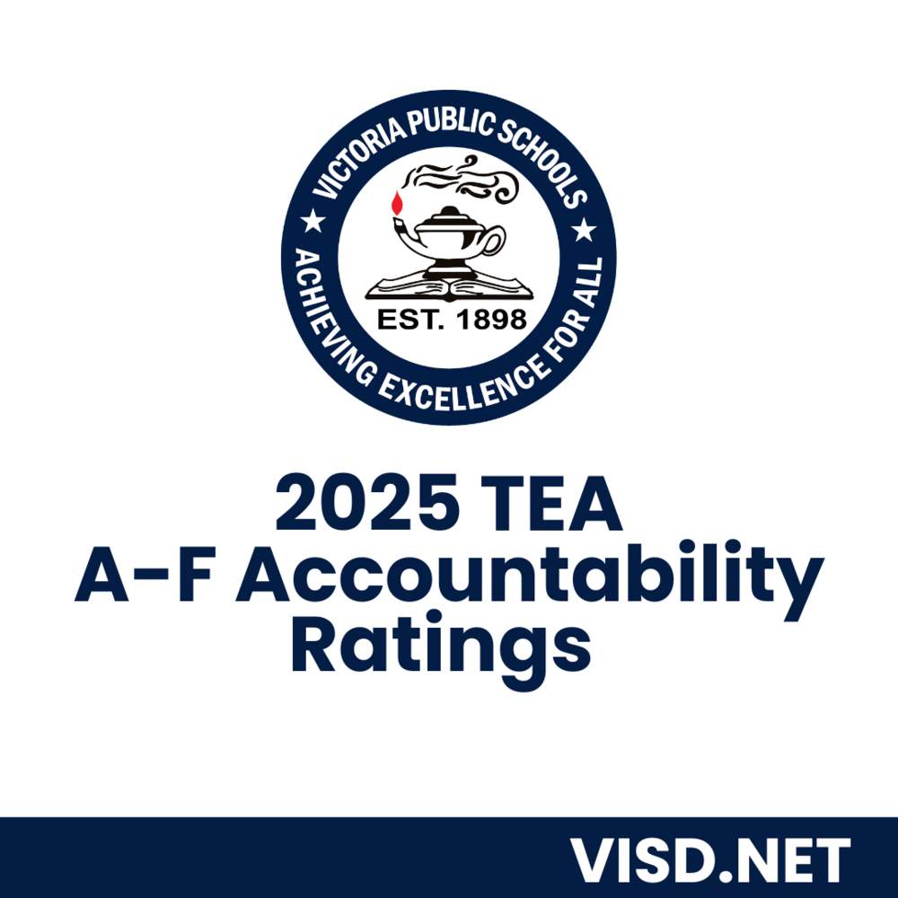 VISD Logo 2025 TEA A-F Accountability Ratings