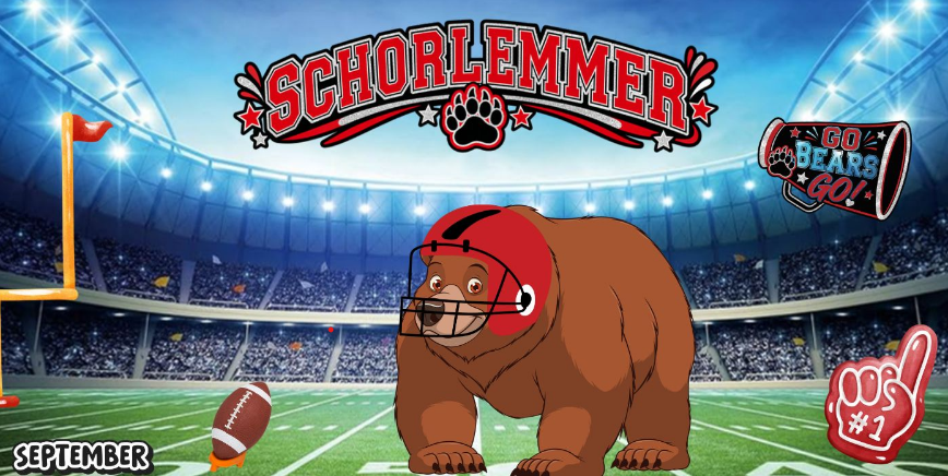 bear news