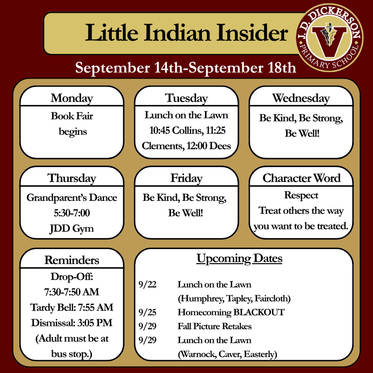Little Indian Insider