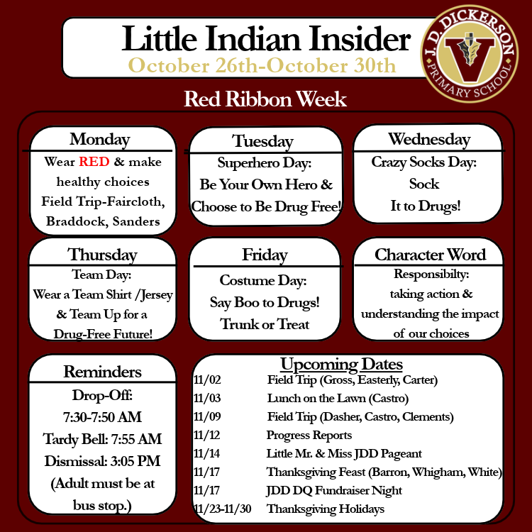 Little Indian Insider