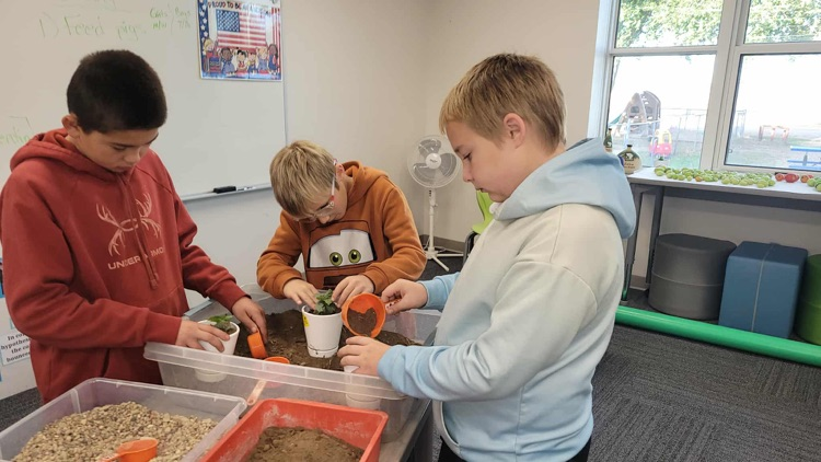 Elementary Math/Science 1