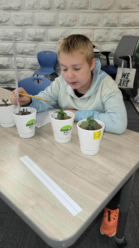 Elementary Science/Math 2