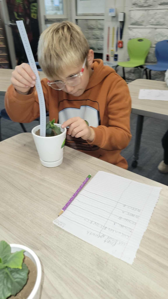 Elementary Science/Math 3