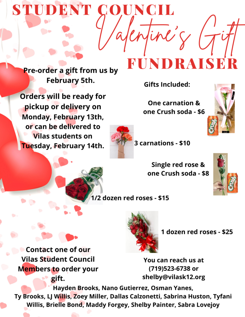 STUCO Valentine's Day Flower Fundraiser