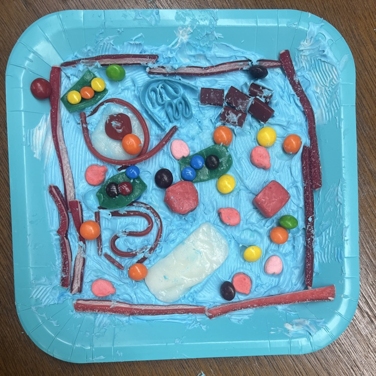 cell