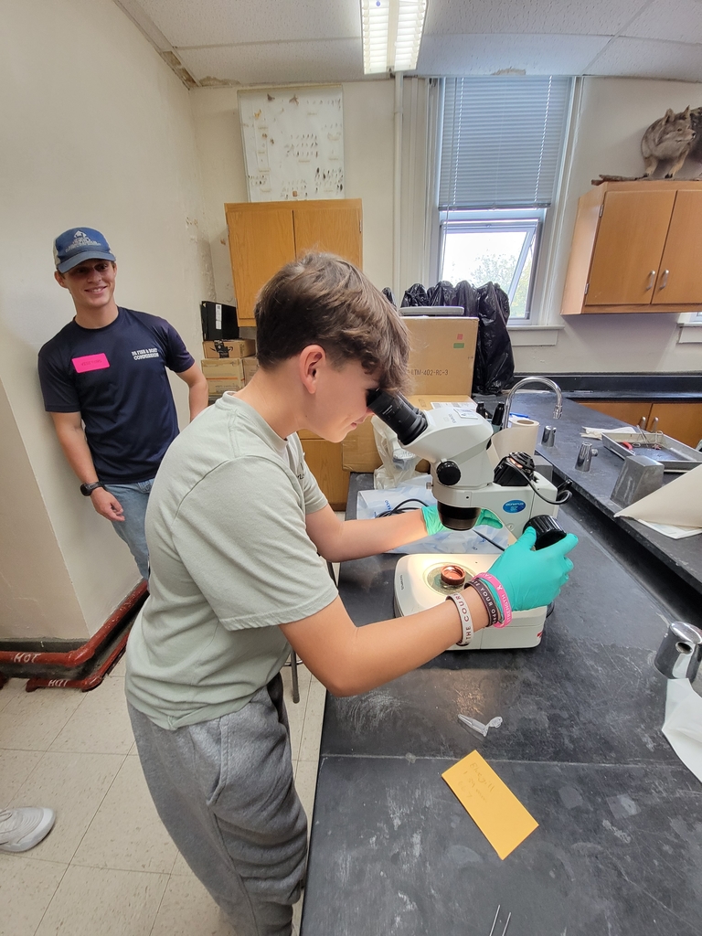 Microscope viewing