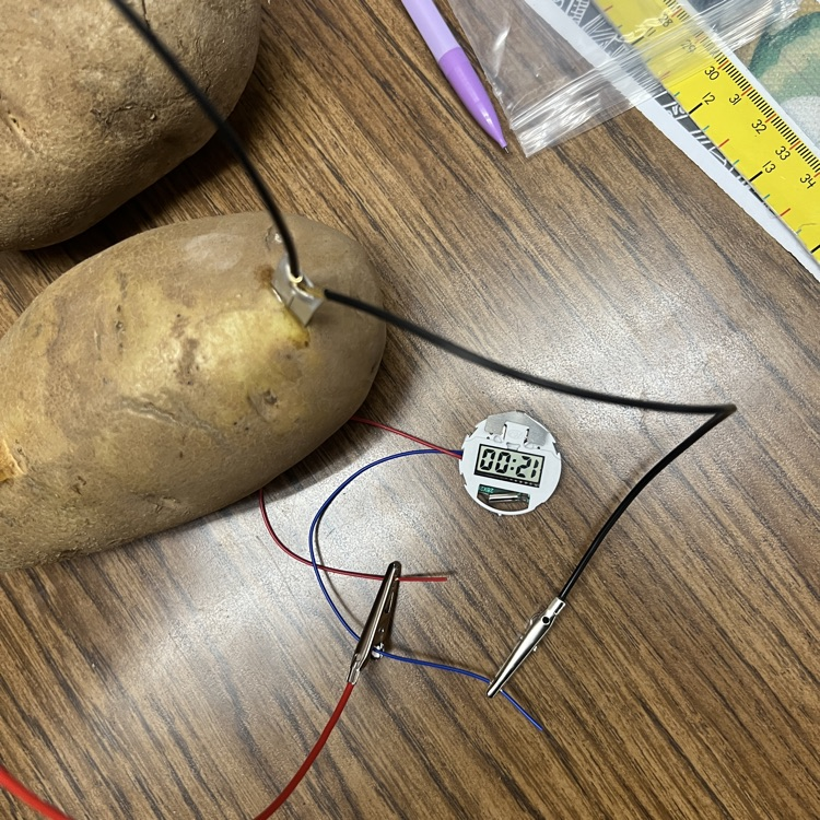 potato battery