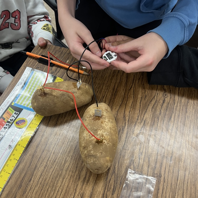 potato battery