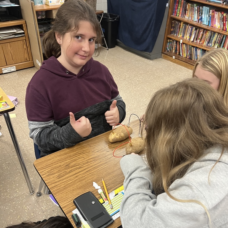potato battery