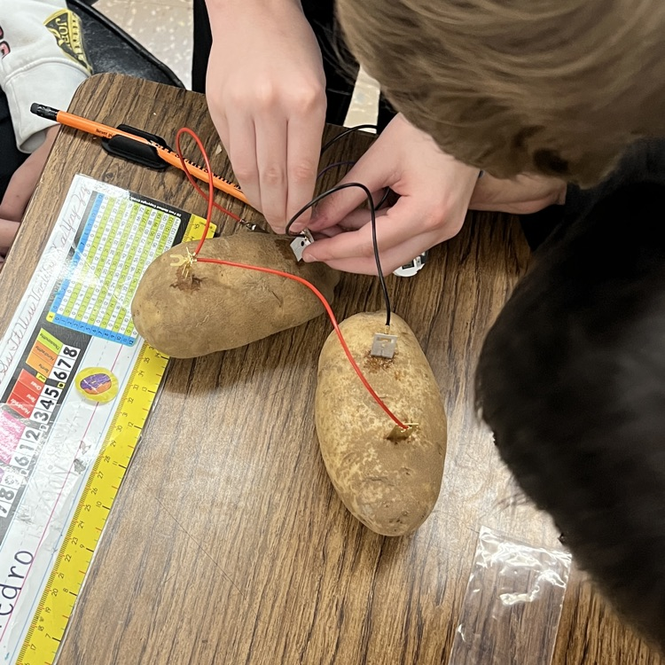 potato battery