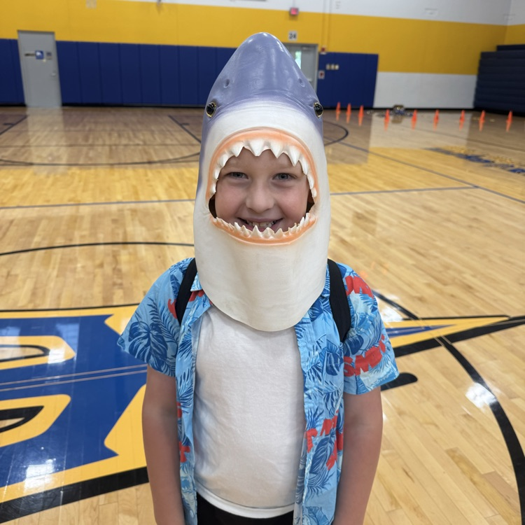 shark