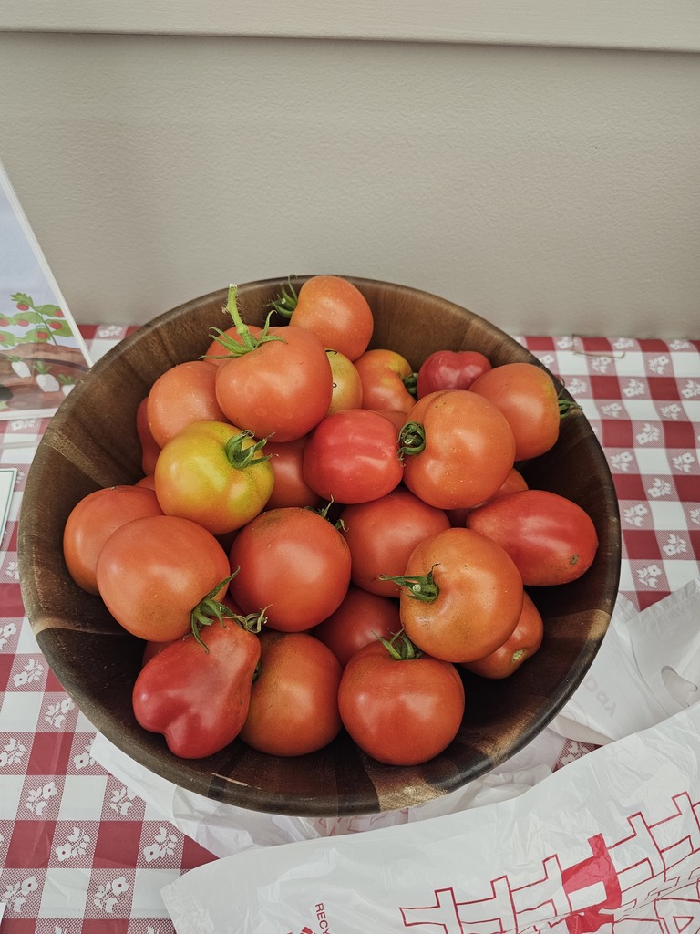Tomatoes