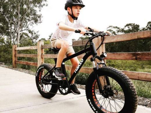 ebike