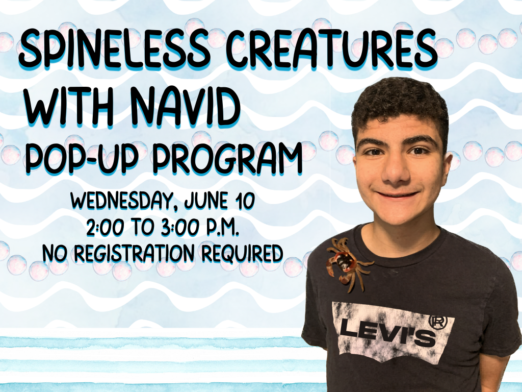 Pop-up w/Navid