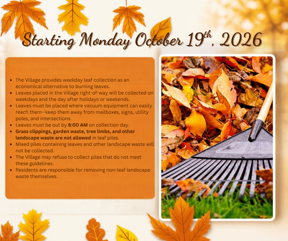 Village of Forsyth leaf pick up day starts