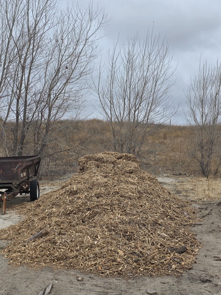 Picture of wood mulch pile
