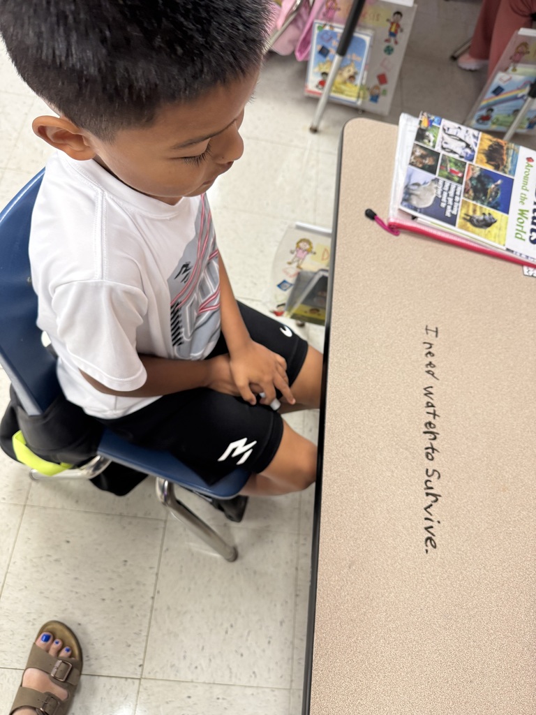 Writing Sentences