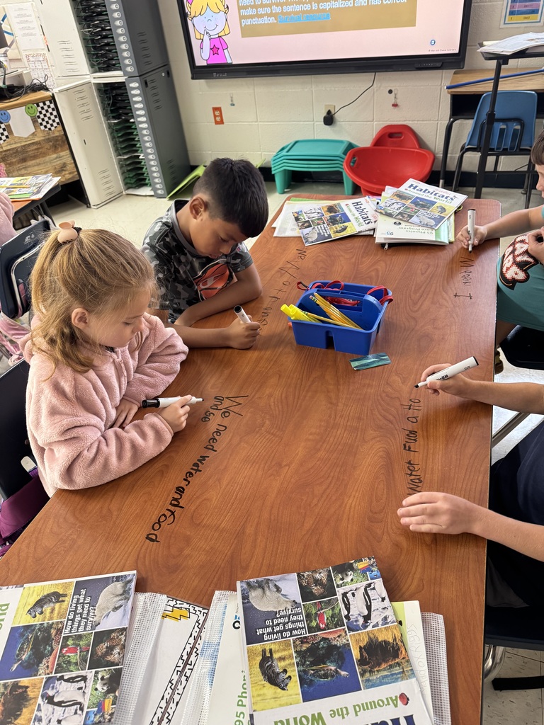 Writing Sentences