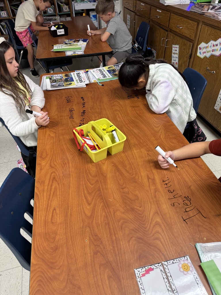 Writing Sentences