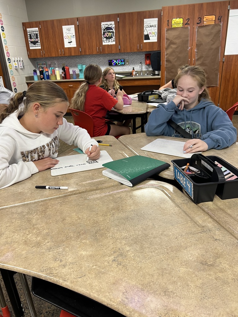 FMIS Students Learning
