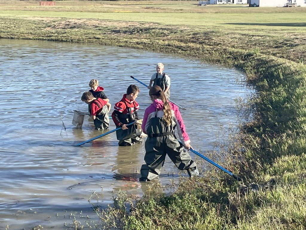 Learning at the Pond