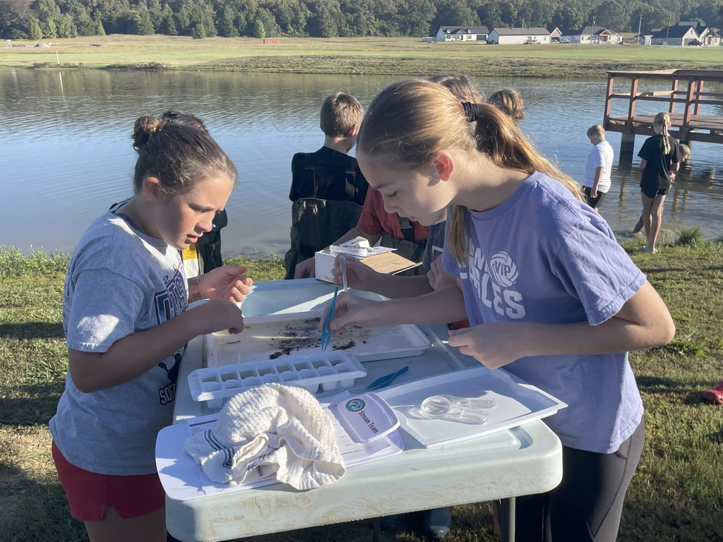 Learning at the Pond