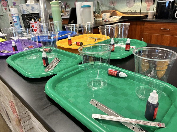 Sixth Grade Science Lab