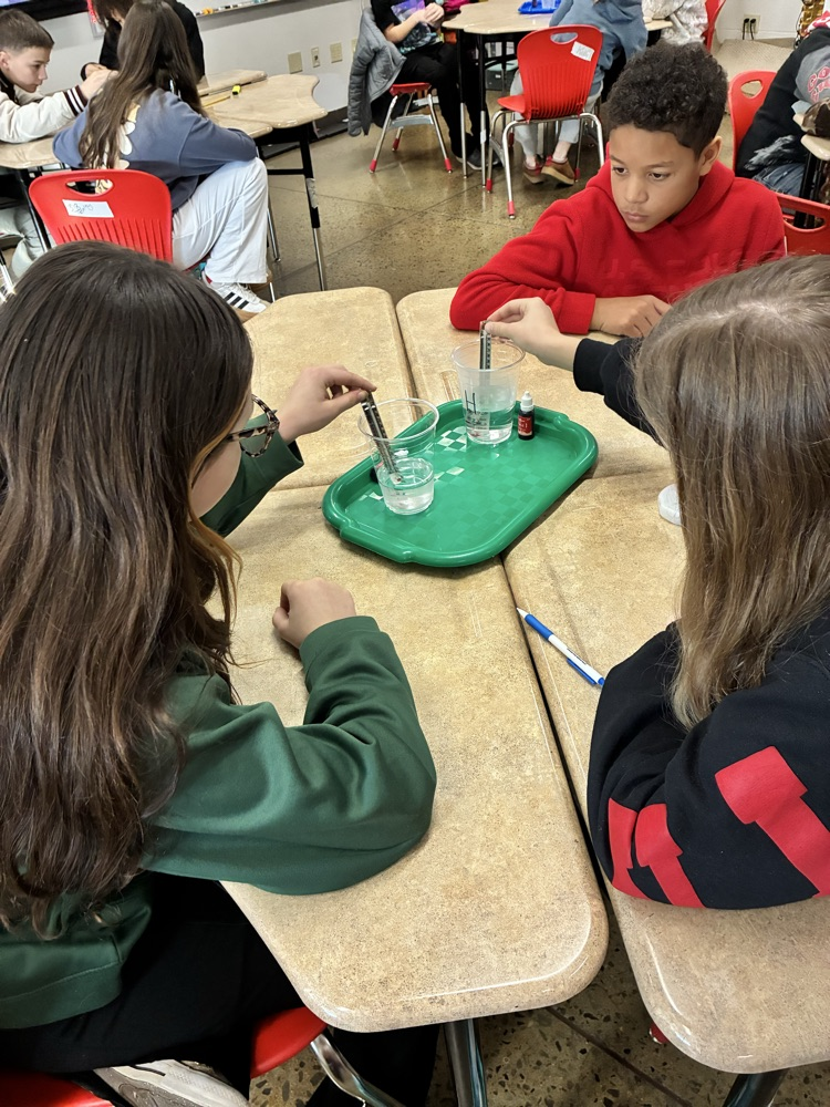 Sixth Grade Science Lab