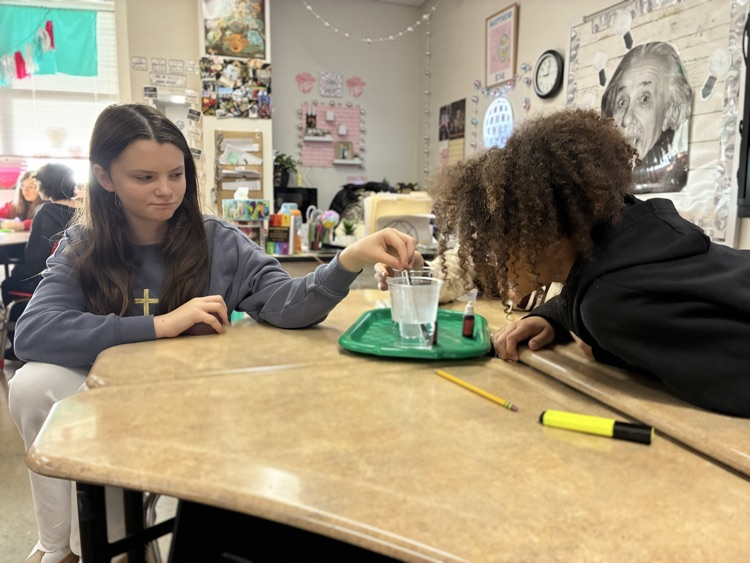 Sixth Grade Science Lab